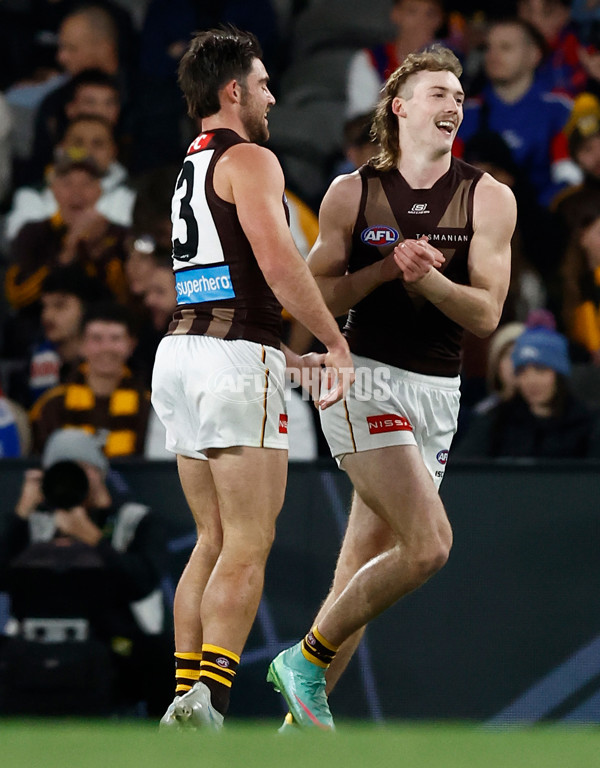 AFL 2025 Round 13 - Western Bulldogs v Hawthorn - A-59835540