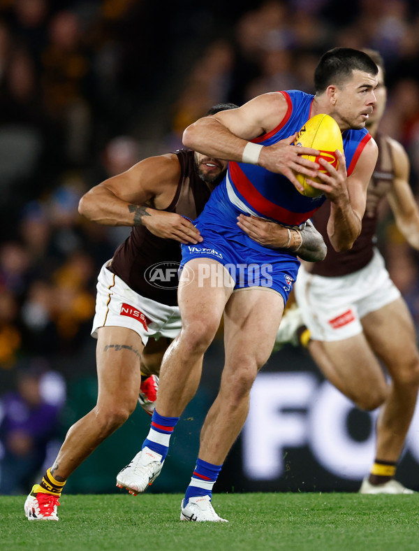 AFL 2025 Round 13 - Western Bulldogs v Hawthorn - A-59835542