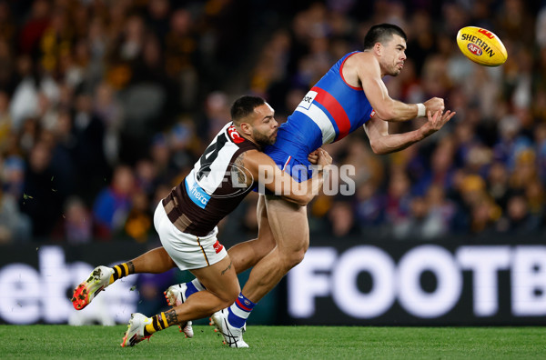 AFL 2025 Round 13 - Western Bulldogs v Hawthorn - A-59835544