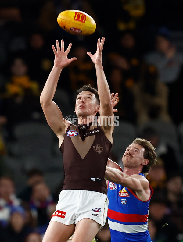 AFL 2025 Round 13 - Western Bulldogs v Hawthorn - A-59835553