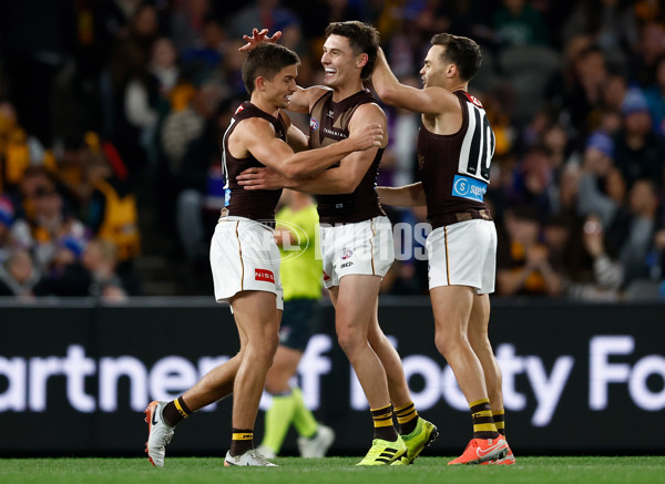 AFL 2025 Round 13 - Western Bulldogs v Hawthorn - A-59835554