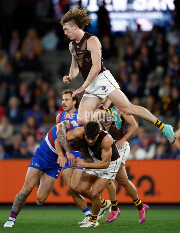AFL 2025 Round 13 - Western Bulldogs v Hawthorn - A-59835557