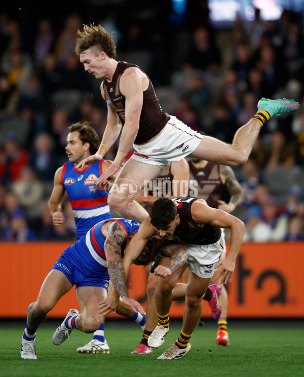 AFL 2025 Round 13 - Western Bulldogs v Hawthorn - A-59835558
