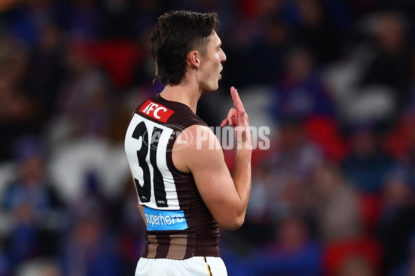 AFL 2025 Round 13 - Western Bulldogs v Hawthorn - A-59835563
