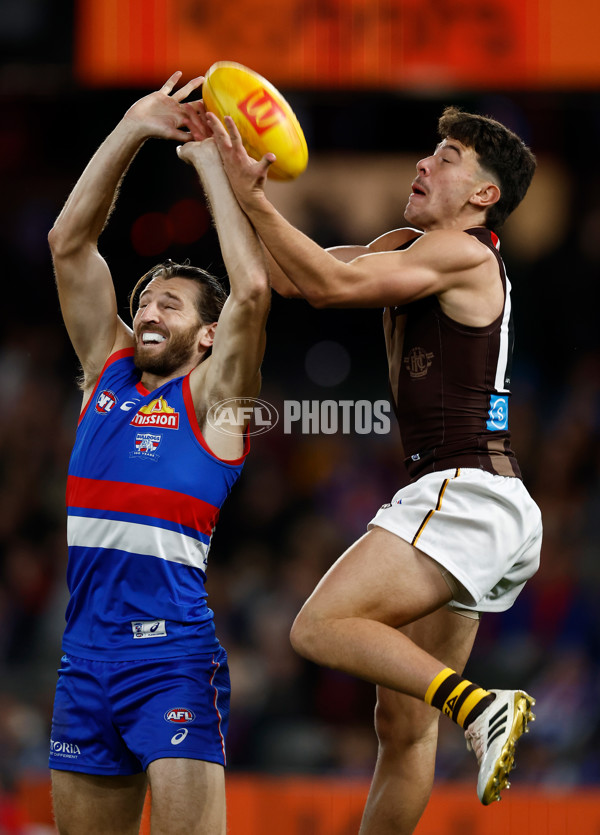 AFL 2025 Round 13 - Western Bulldogs v Hawthorn - A-59835564