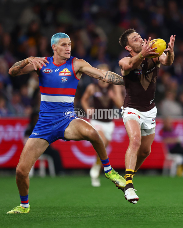 AFL 2025 Round 13 - Western Bulldogs v Hawthorn - A-59835572