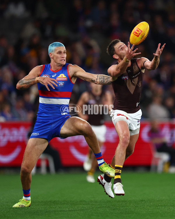 AFL 2025 Round 13 - Western Bulldogs v Hawthorn - A-59835573