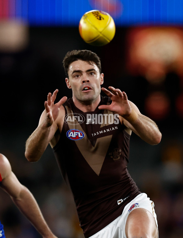 AFL 2025 Round 13 - Western Bulldogs v Hawthorn - A-59835578