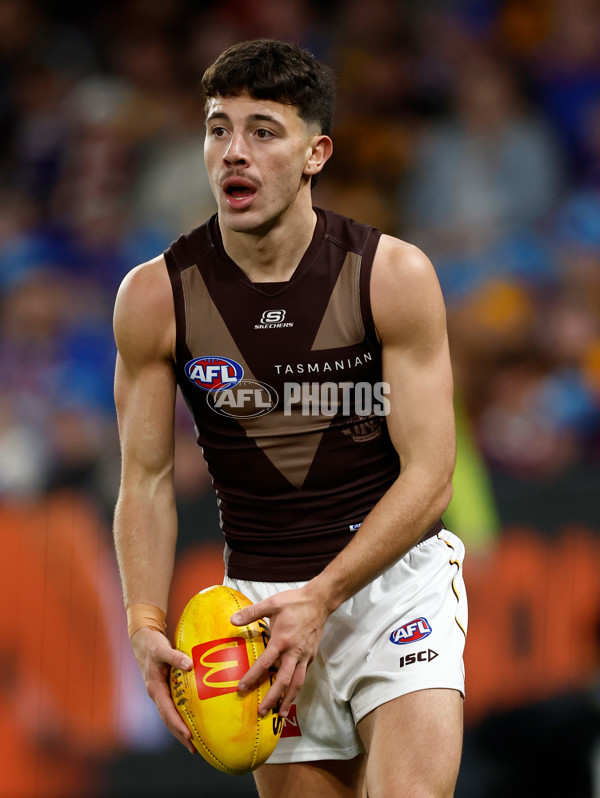 AFL 2025 Round 13 - Western Bulldogs v Hawthorn - A-59835581