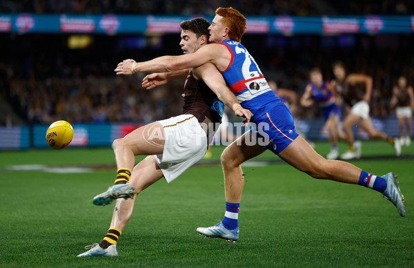 AFL 2025 Round 13 - Western Bulldogs v Hawthorn - A-59835582