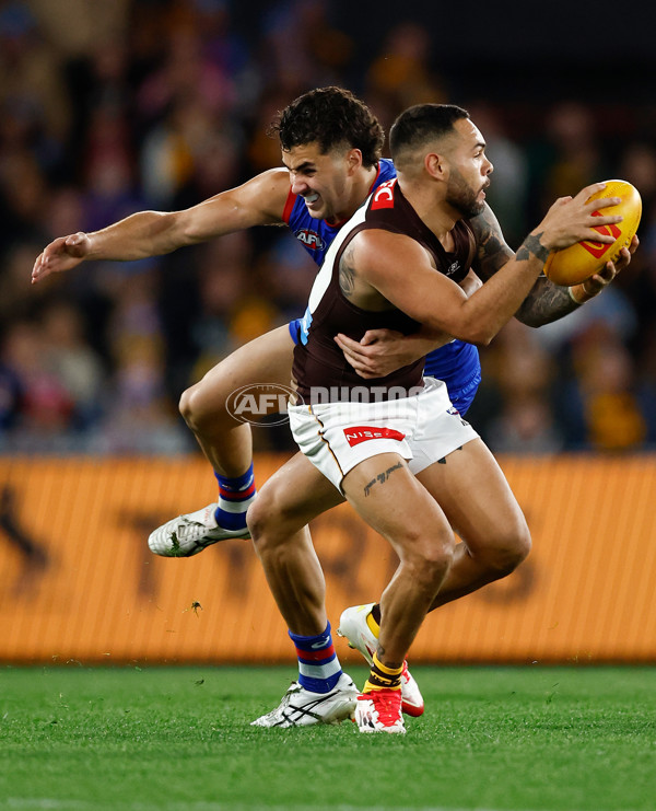 AFL 2025 Round 13 - Western Bulldogs v Hawthorn - A-59835597