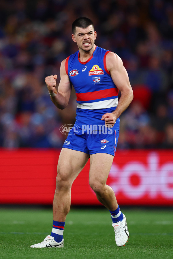 AFL 2025 Round 13 - Western Bulldogs v Hawthorn - A-59835606