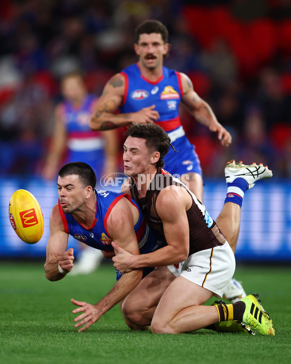 AFL 2025 Round 13 - Western Bulldogs v Hawthorn - A-59835610