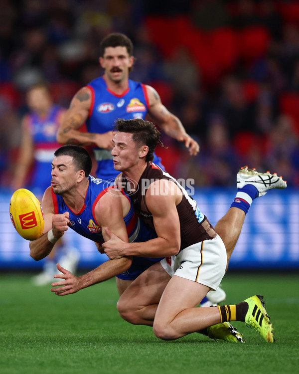 AFL 2025 Round 13 - Western Bulldogs v Hawthorn - A-59835611