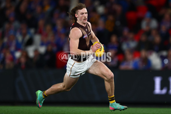 AFL 2025 Round 13 - Western Bulldogs v Hawthorn - A-59837048