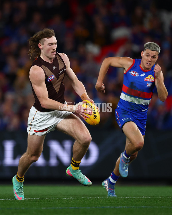 AFL 2025 Round 13 - Western Bulldogs v Hawthorn - A-59837049