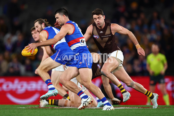 AFL 2025 Round 13 - Western Bulldogs v Hawthorn - A-59837050