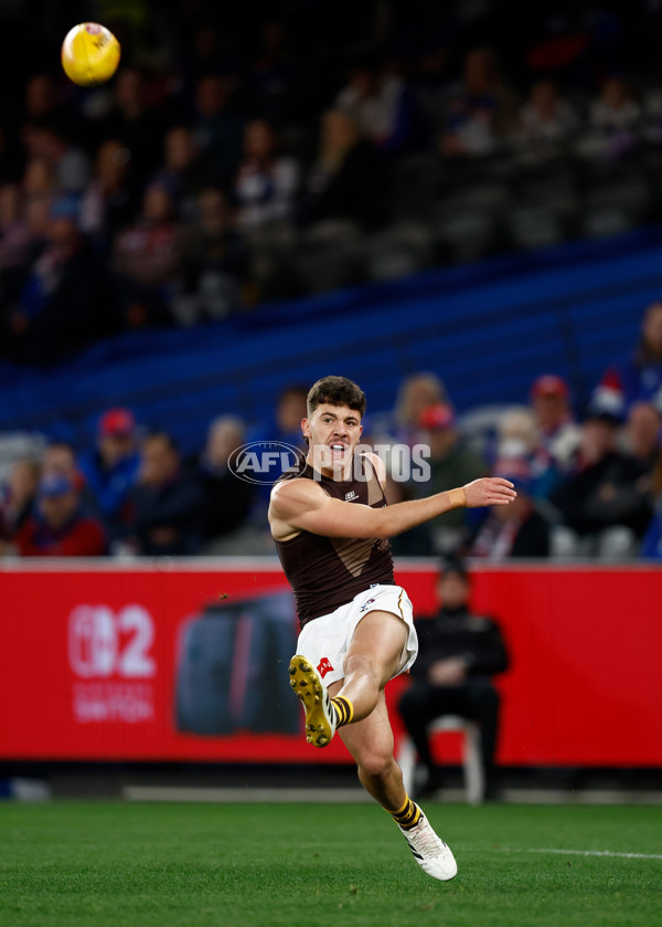 AFL 2025 Round 13 - Western Bulldogs v Hawthorn - A-59837060