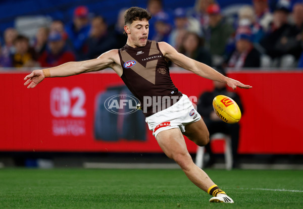 AFL 2025 Round 13 - Western Bulldogs v Hawthorn - A-59837062