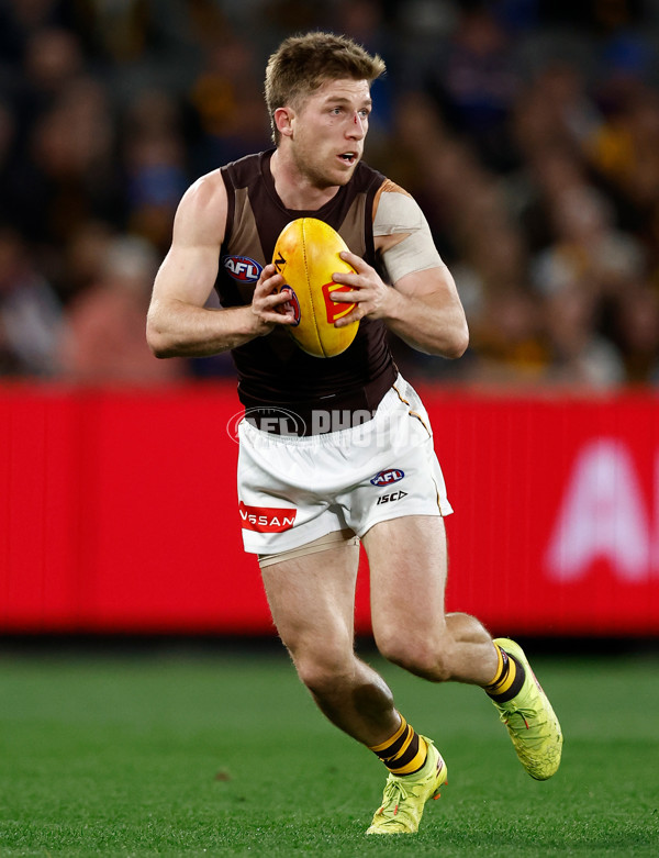 AFL 2025 Round 13 - Western Bulldogs v Hawthorn - A-59837064