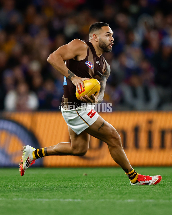 AFL 2025 Round 13 - Western Bulldogs v Hawthorn - A-59837077