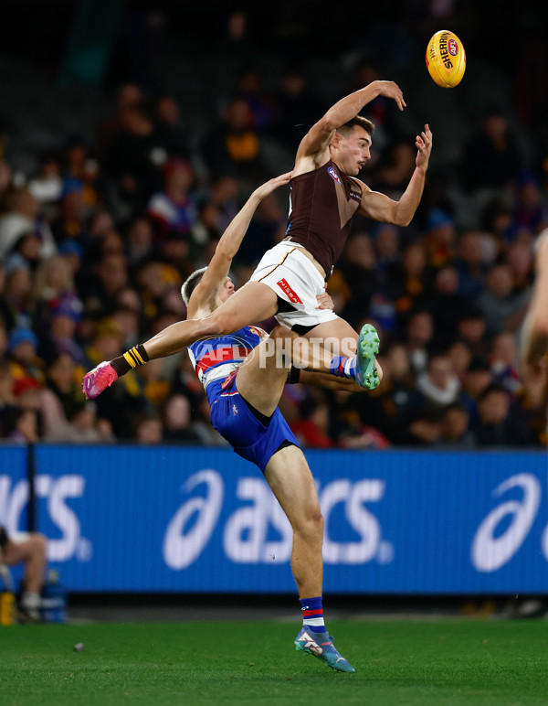 AFL 2025 Round 13 - Western Bulldogs v Hawthorn - A-59837086