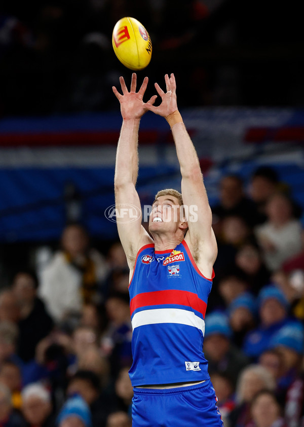 AFL 2025 Round 13 - Western Bulldogs v Hawthorn - A-59837106