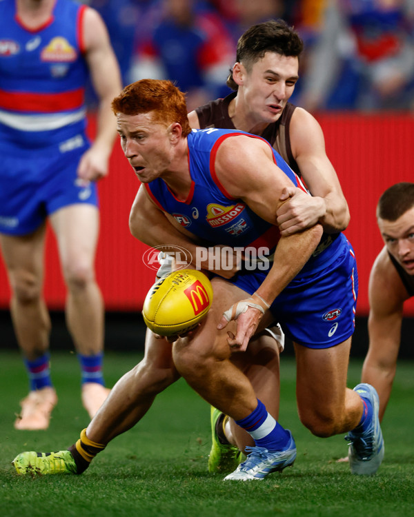 AFL 2025 Round 13 - Western Bulldogs v Hawthorn - A-59837108