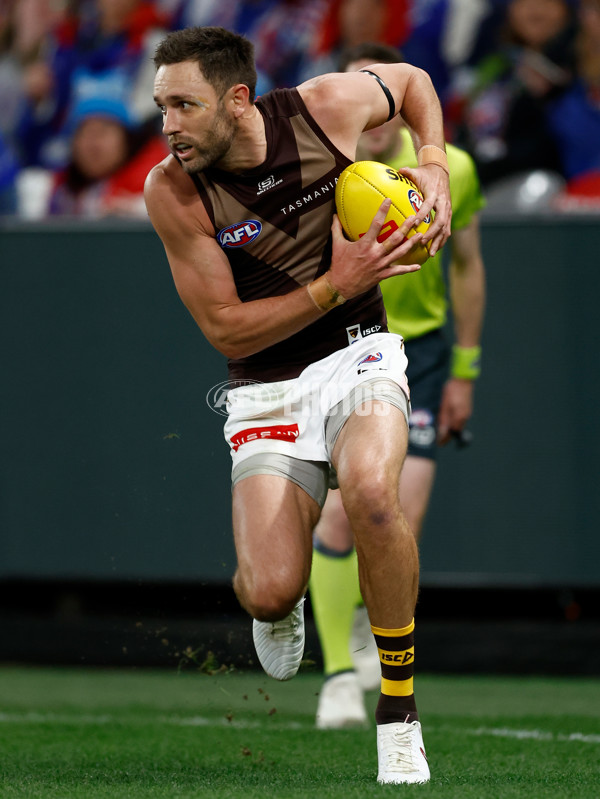 AFL 2025 Round 13 - Western Bulldogs v Hawthorn - A-59837109