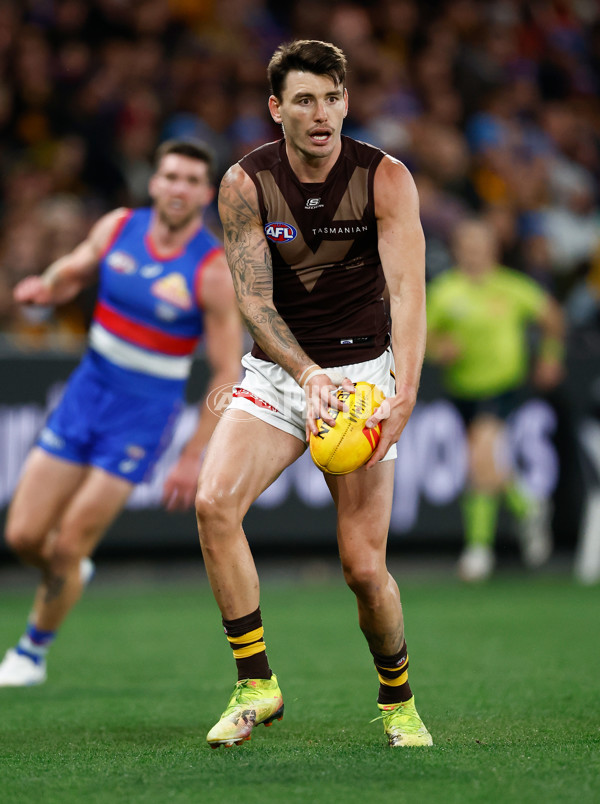 AFL 2025 Round 13 - Western Bulldogs v Hawthorn - A-59837111