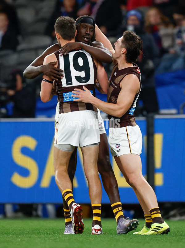 AFL 2025 Round 13 - Western Bulldogs v Hawthorn - A-59837118