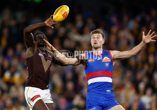 AFL 2025 Round 13 - Western Bulldogs v Hawthorn - A-59837123