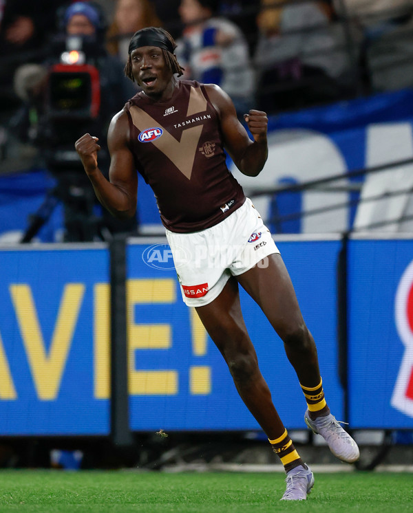 AFL 2025 Round 13 - Western Bulldogs v Hawthorn - A-59837126