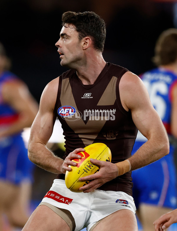 AFL 2025 Round 13 - Western Bulldogs v Hawthorn - A-59837130