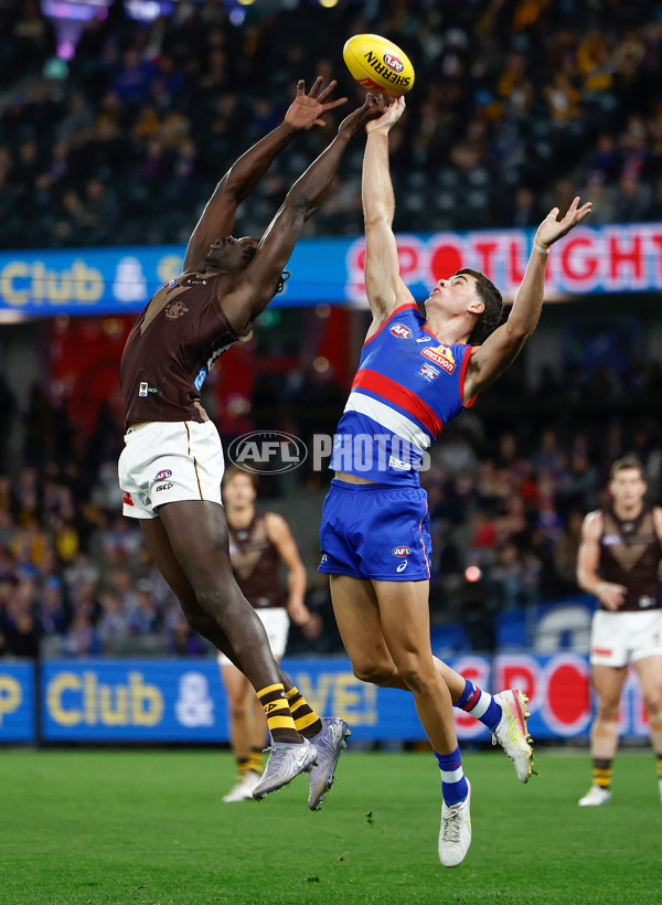 AFL 2025 Round 13 - Western Bulldogs v Hawthorn - A-59837131