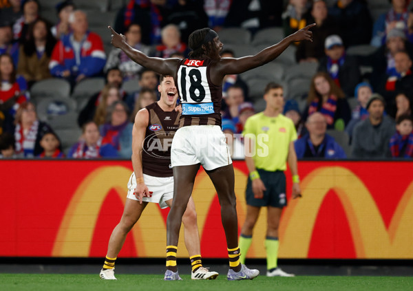 AFL 2025 Round 13 - Western Bulldogs v Hawthorn - A-59837134