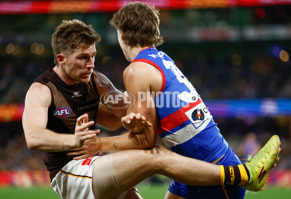 AFL 2025 Round 13 - Western Bulldogs v Hawthorn - A-59837135