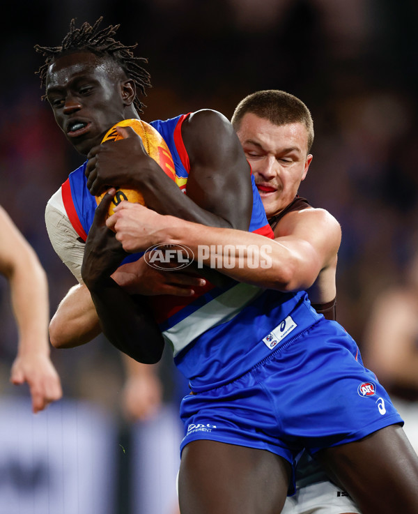 AFL 2025 Round 13 - Western Bulldogs v Hawthorn - A-59837136