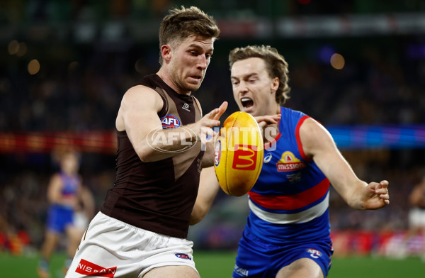 AFL 2025 Round 13 - Western Bulldogs v Hawthorn - A-59837137