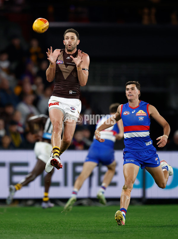 AFL 2025 Round 13 - Western Bulldogs v Hawthorn - A-59837146