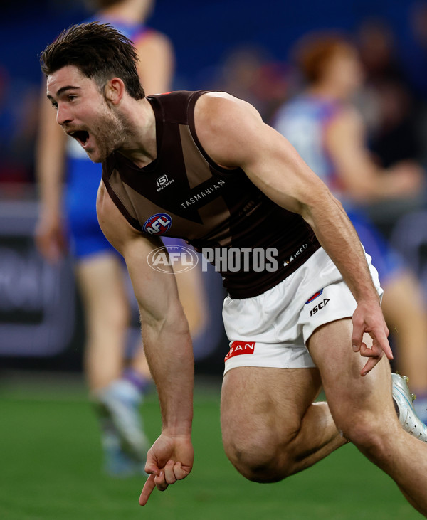 AFL 2025 Round 13 - Western Bulldogs v Hawthorn - A-59838663