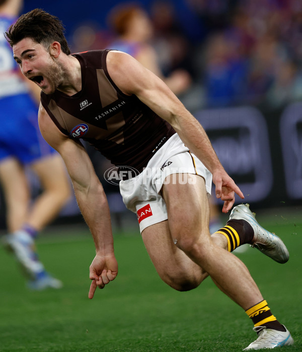 AFL 2025 Round 13 - Western Bulldogs v Hawthorn - A-59838664