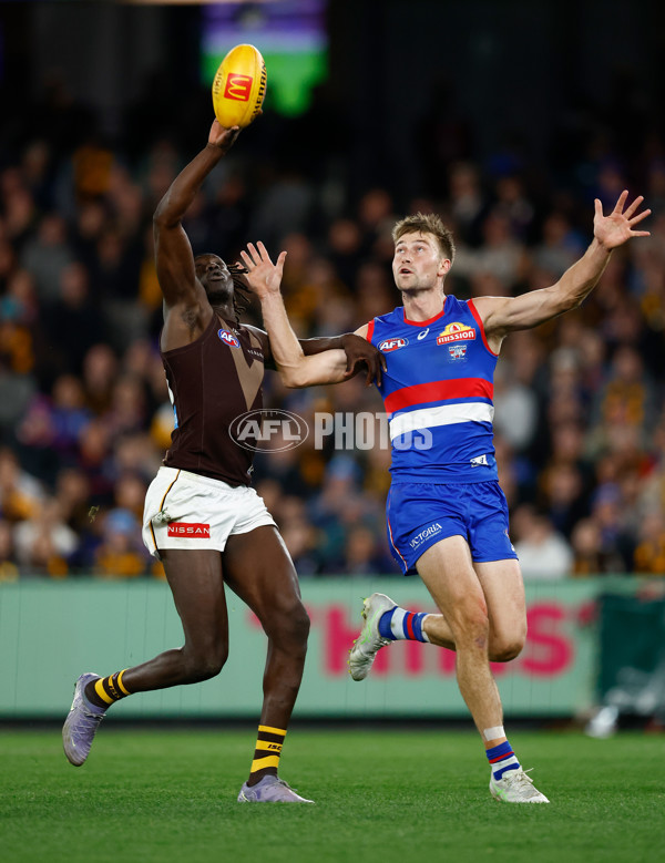 AFL 2025 Round 13 - Western Bulldogs v Hawthorn - A-59838669