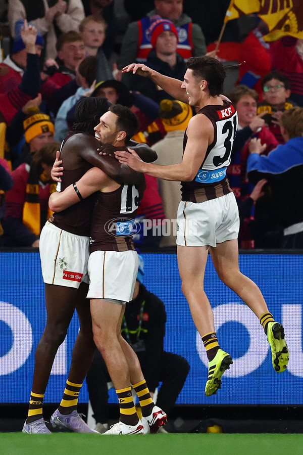 AFL 2025 Round 13 - Western Bulldogs v Hawthorn - A-59838670