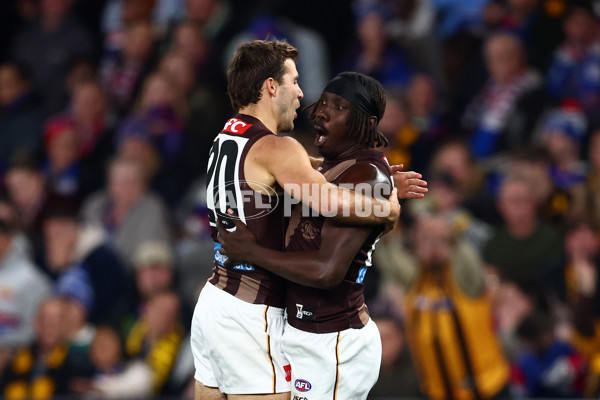 AFL 2025 Round 13 - Western Bulldogs v Hawthorn - A-59838688