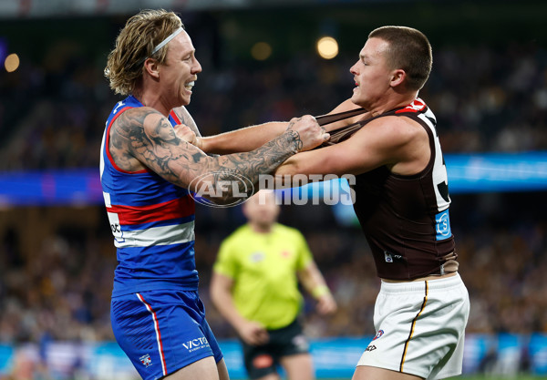 AFL 2025 Round 13 - Western Bulldogs v Hawthorn - A-59838694