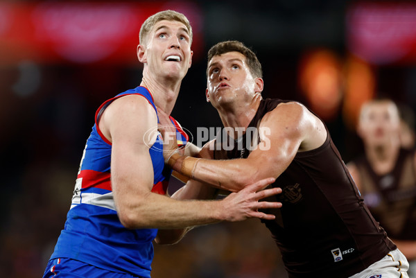 AFL 2025 Round 13 - Western Bulldogs v Hawthorn - A-59838695
