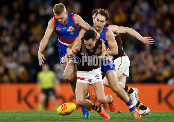 AFL 2025 Round 13 - Western Bulldogs v Hawthorn - A-59838698