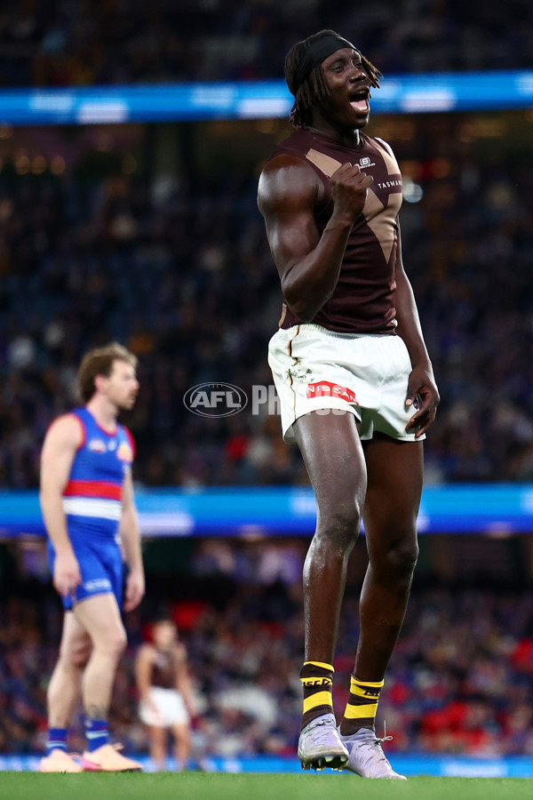 AFL 2025 Round 13 - Western Bulldogs v Hawthorn - A-59838702