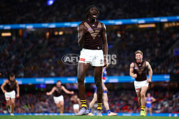 AFL 2025 Round 13 - Western Bulldogs v Hawthorn - A-59838703